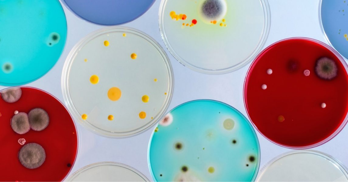 Antimicrobianos