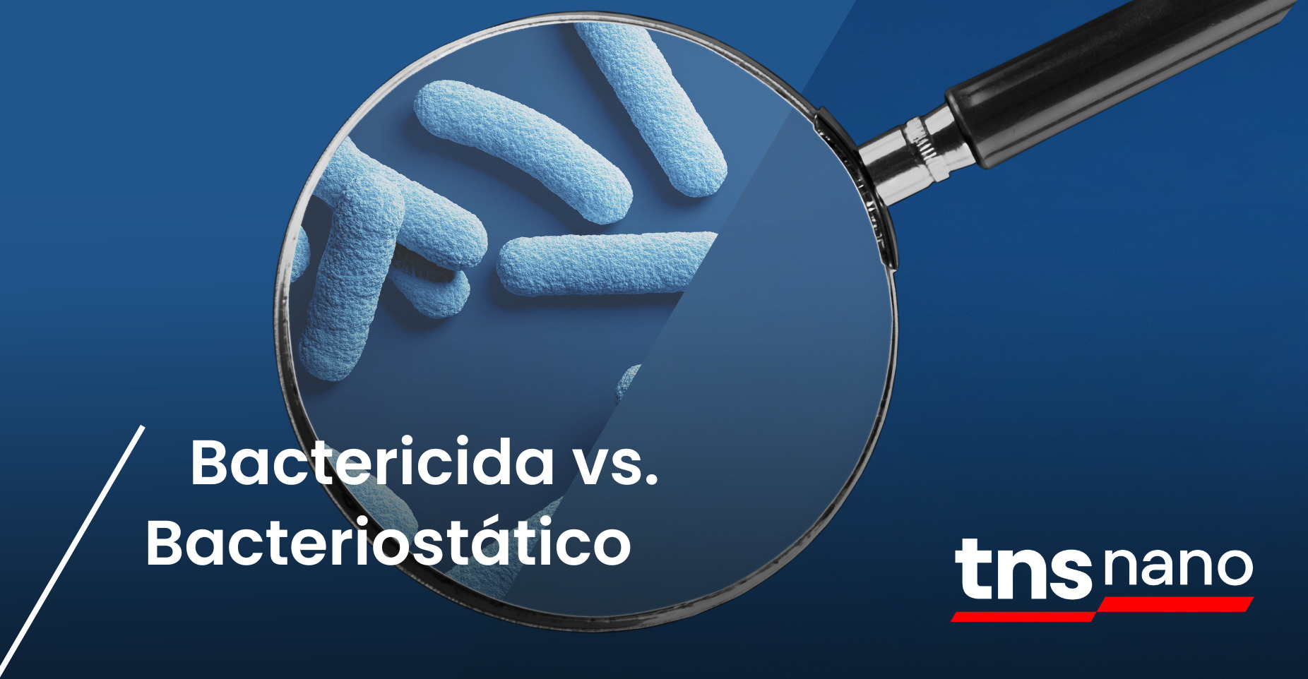 Bactericida vs. Bacteriostático - TNS Nano