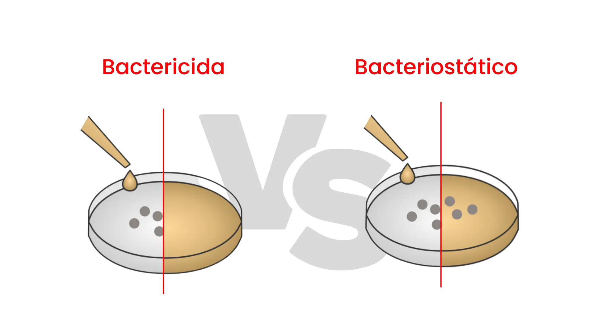 Bactericida vs. Bacteriostático - TNS Nano