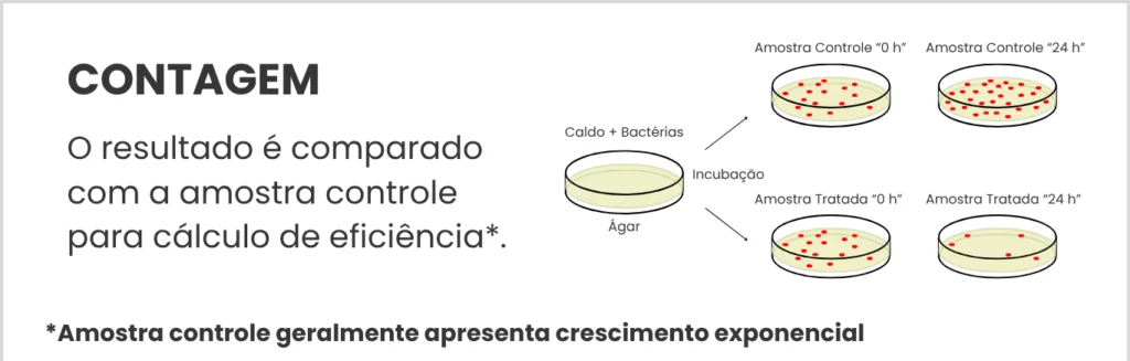 JIS Z 2801 e ISO 22196 - etapa 6: contagem