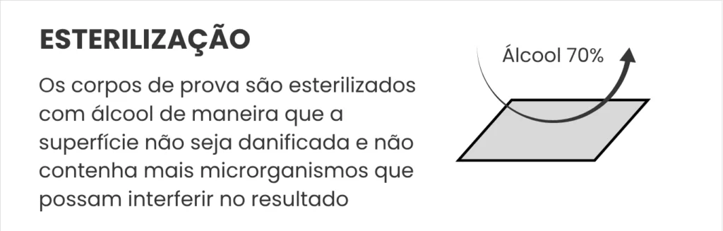 Etapa 2: Esterilização