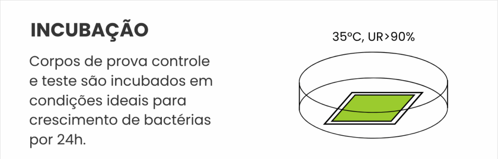 JIS Z 2801 / ISO 22196 - Etapa 4: incubação
