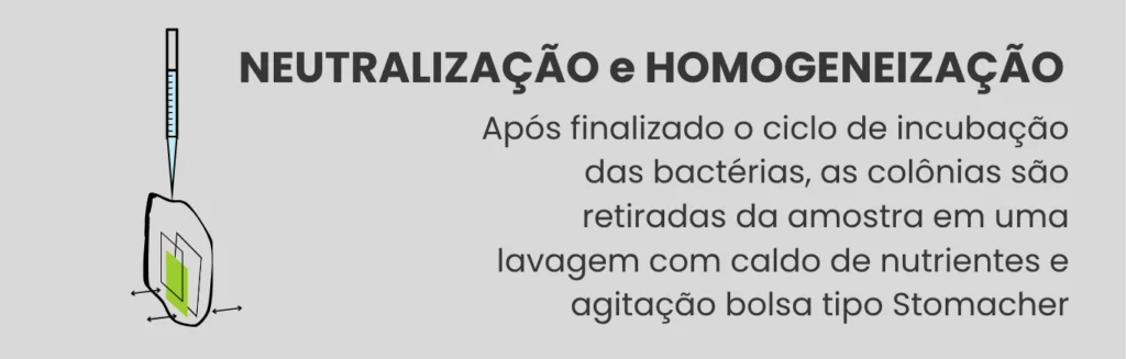 Etapa 5: neutralização e homogeneização