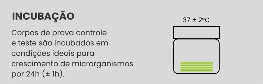 Etapa 4: incubação - infográfico TNS