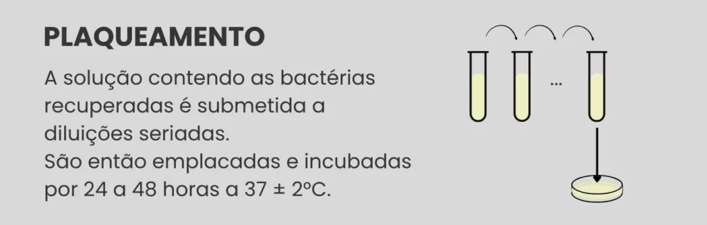 Etapa 6 - plaqueamento