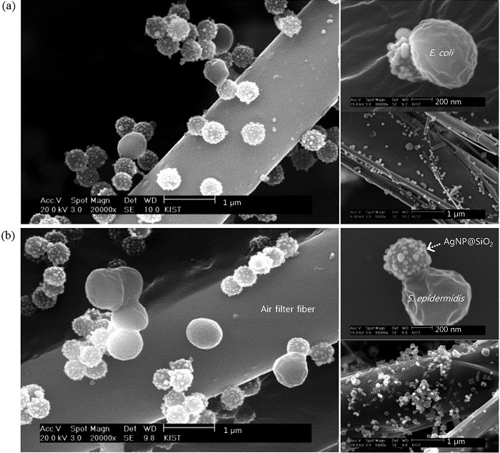 Nanopartículas de Prata aniquilam bactérias de filtros de ar TNS Nano