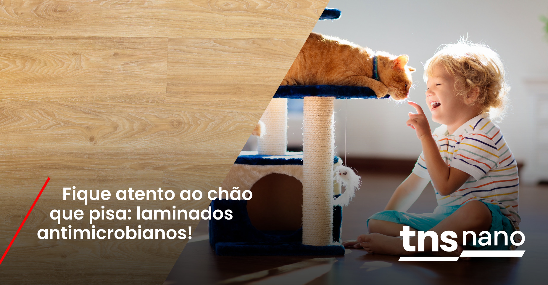 [TNS Nano] Fique atento ao chão que pisa