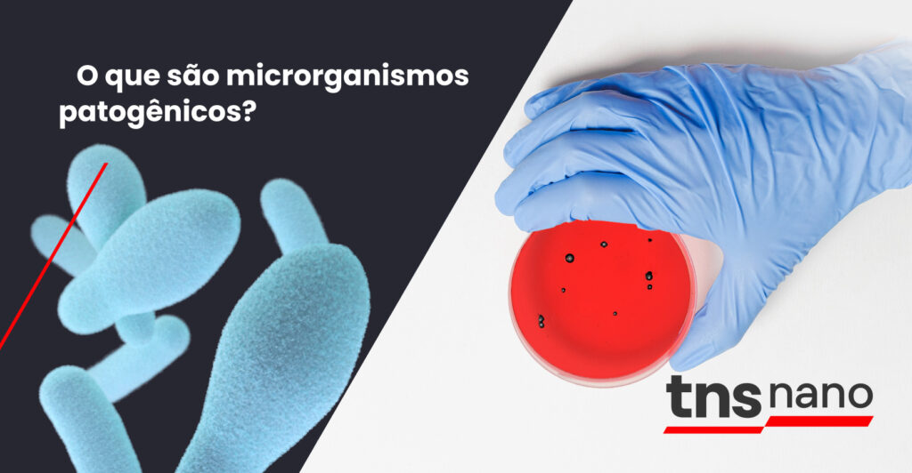 Bactericida vs. Bacteriostático - TNS Nano