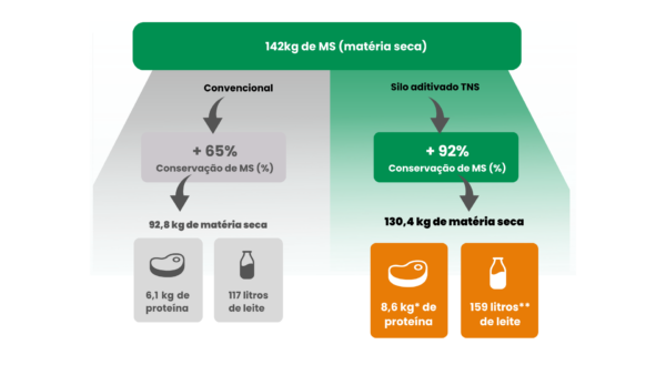 comparação entre silo convencional e silo aditivado TNS