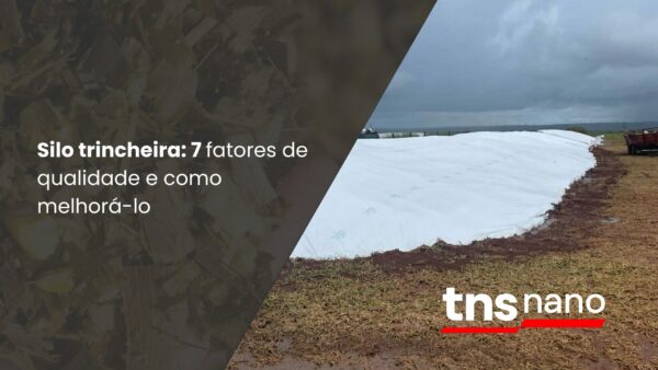 silo trincheira: 7 fatores de qualidade e como melhorá-lo