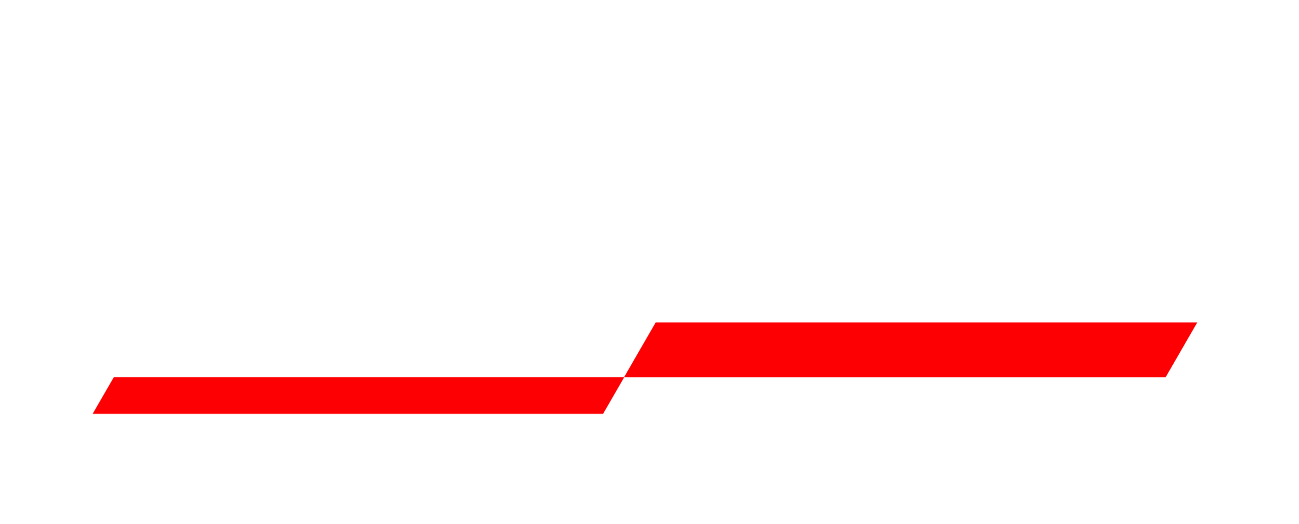 Logo TNS Nano